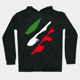 Italy Style Flag Hoodie